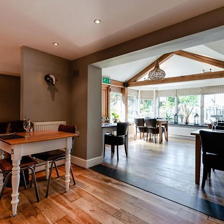 Отель The Golden Lion, Newport, Pembrokeshire Ньюпорт Экстерьер фото